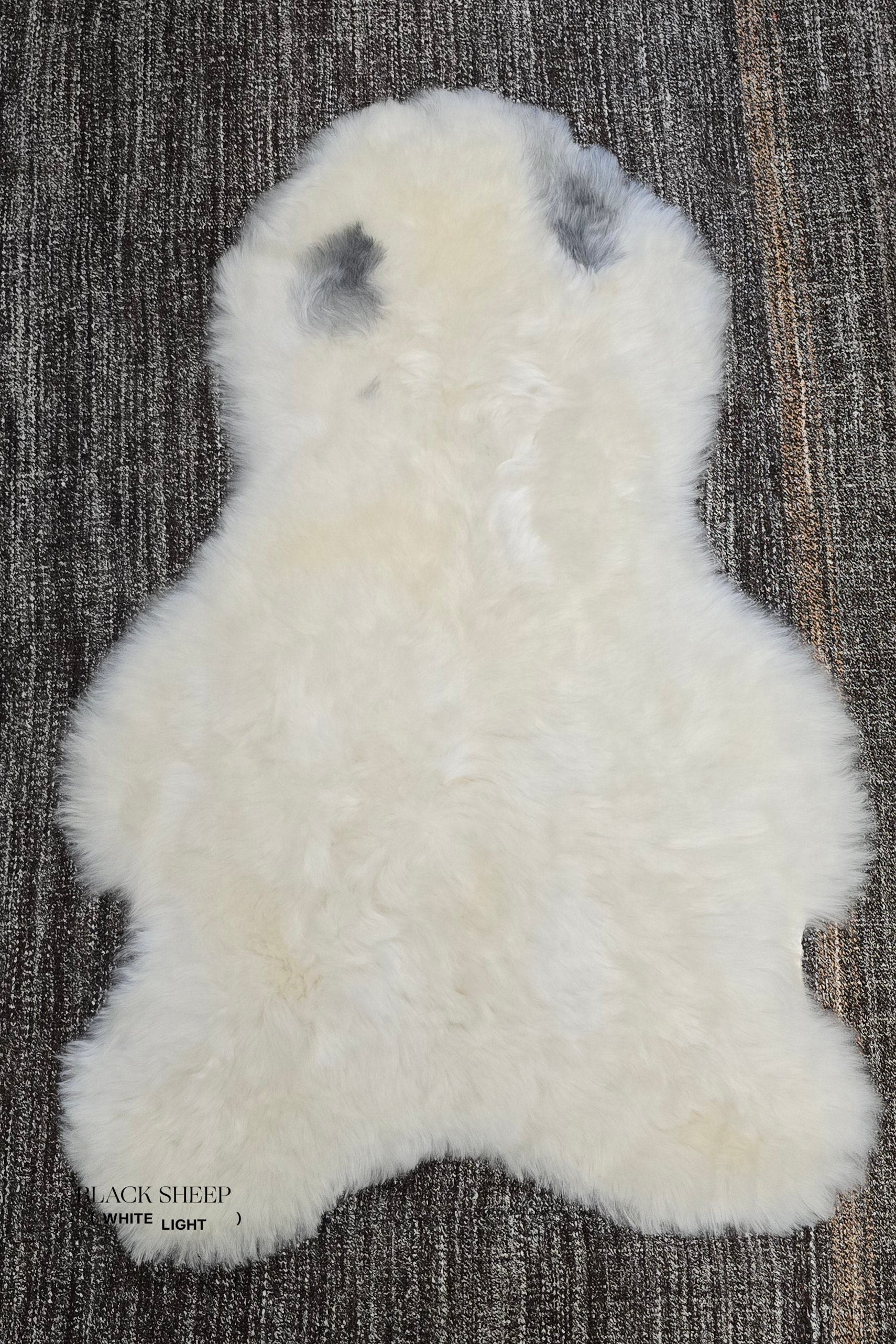 Shorn Spotted Icelandic Sheepskin | Random - Black Sheep (White Light)