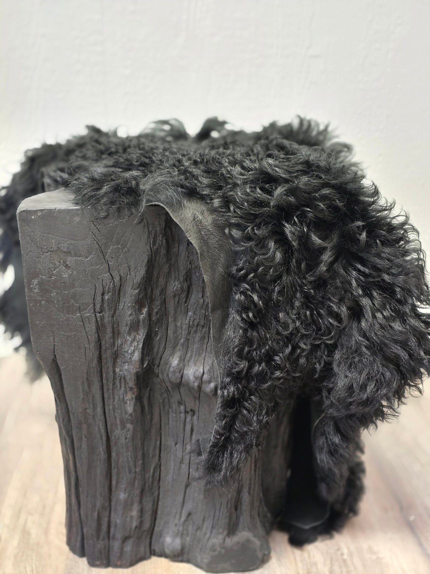 Black Tigrado Spanish Curly Sheepskin - Black Sheep (White Light)