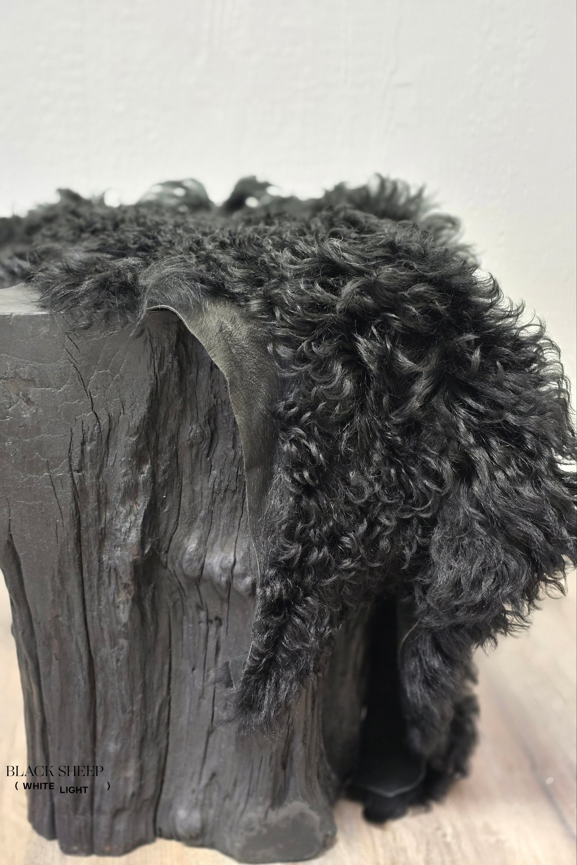 Black Tigrado Spanish Curly Sheepskin - Black Sheep (White Light)