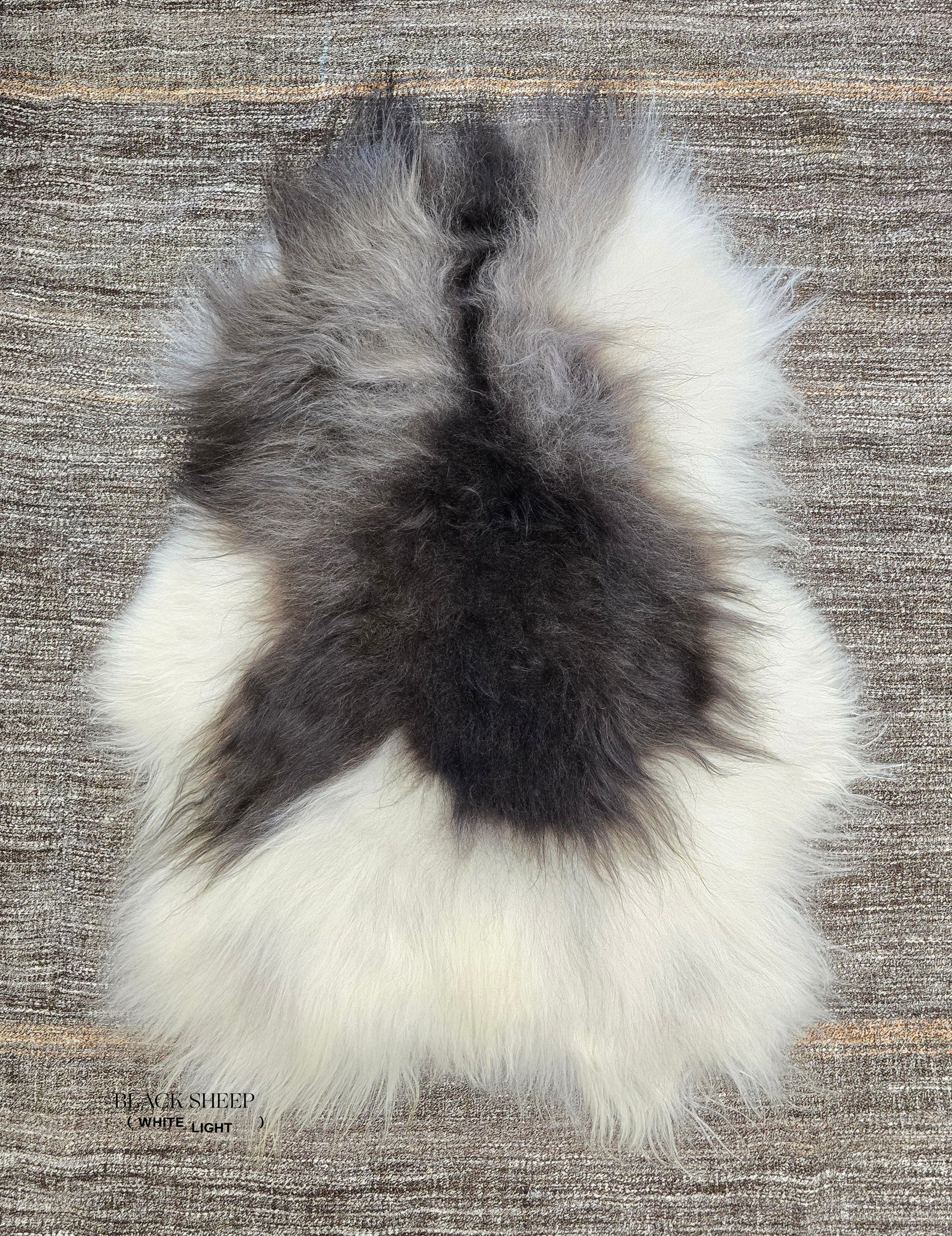 ONE OF THE KIND Icelandic Spotted Random Black and White Sheepskin - Black Sheep (White Light)