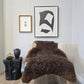 ONE OF THE KIND Icelandic Shorn Brown Sheepskin - Black Sheep (White Light)