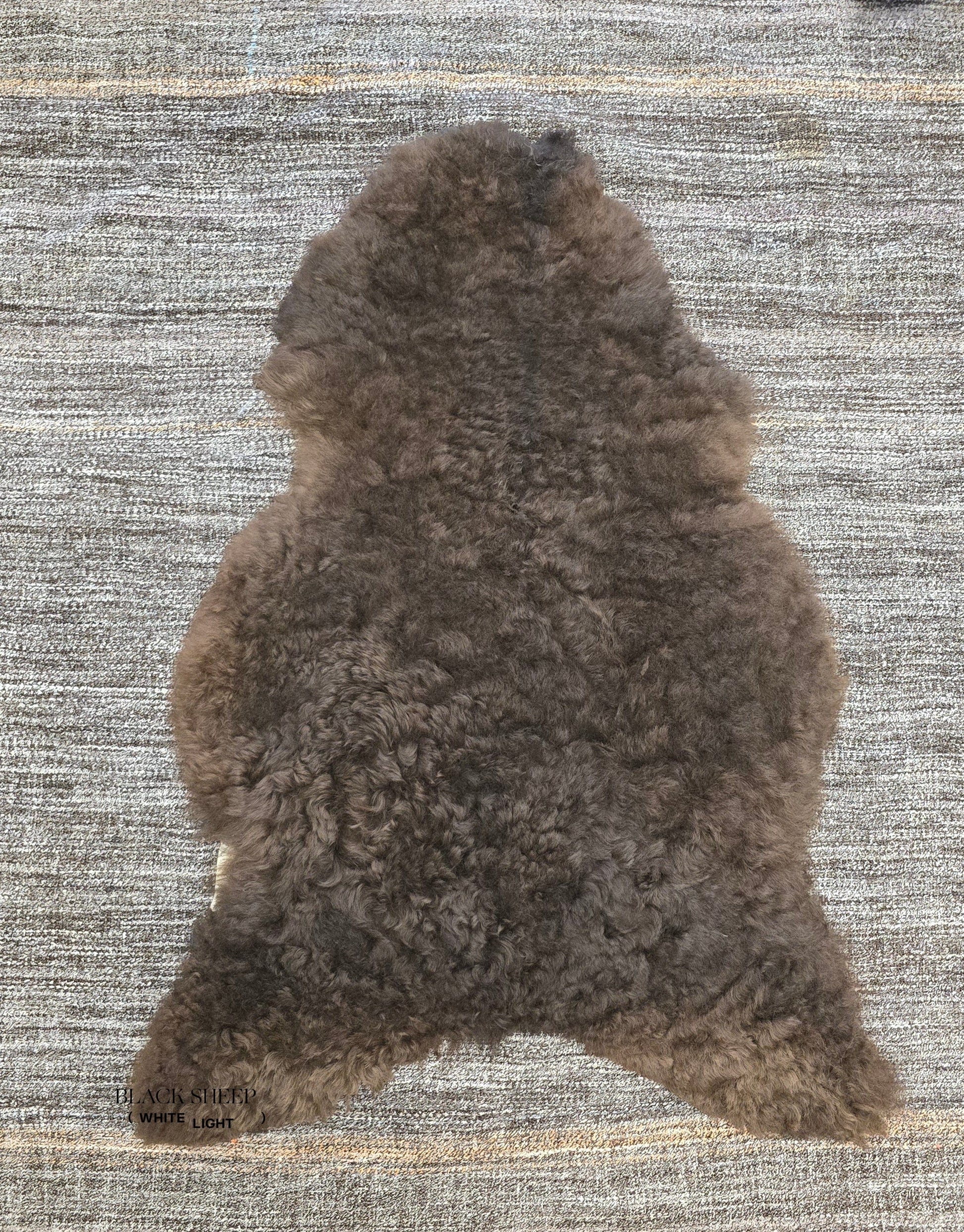 ONE OF THE KIND Icelandic Shorn Brown Sheepskin - Black Sheep (White Light)