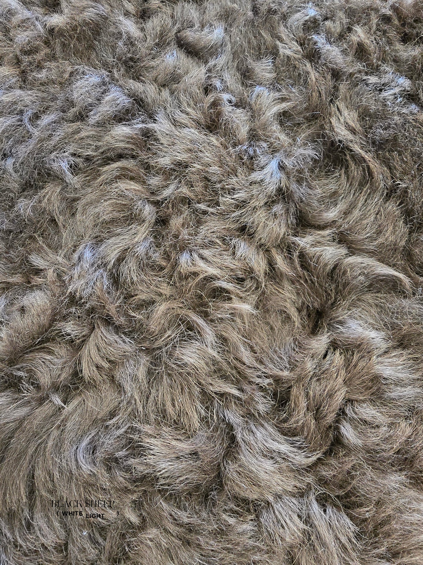 ONE OF THE KIND Icelandic Shorn Brown Sheepskin - Black Sheep (White Light)