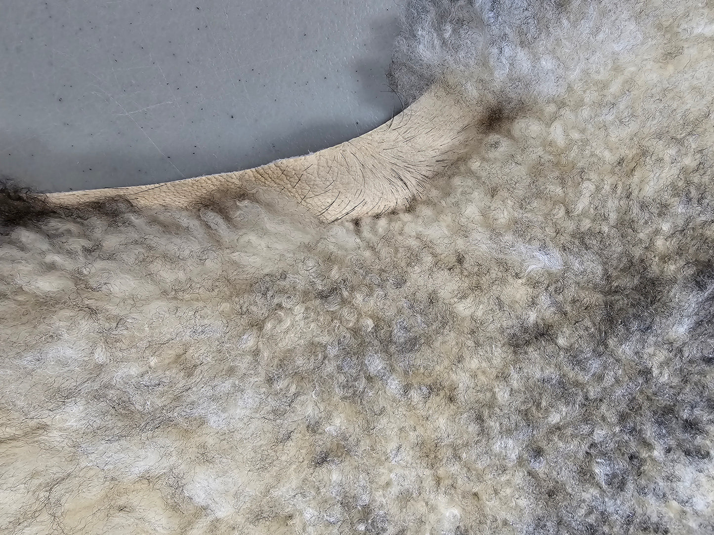 ONE OF THE KIND Gotland White and Grey Medium Wool Sheepskin