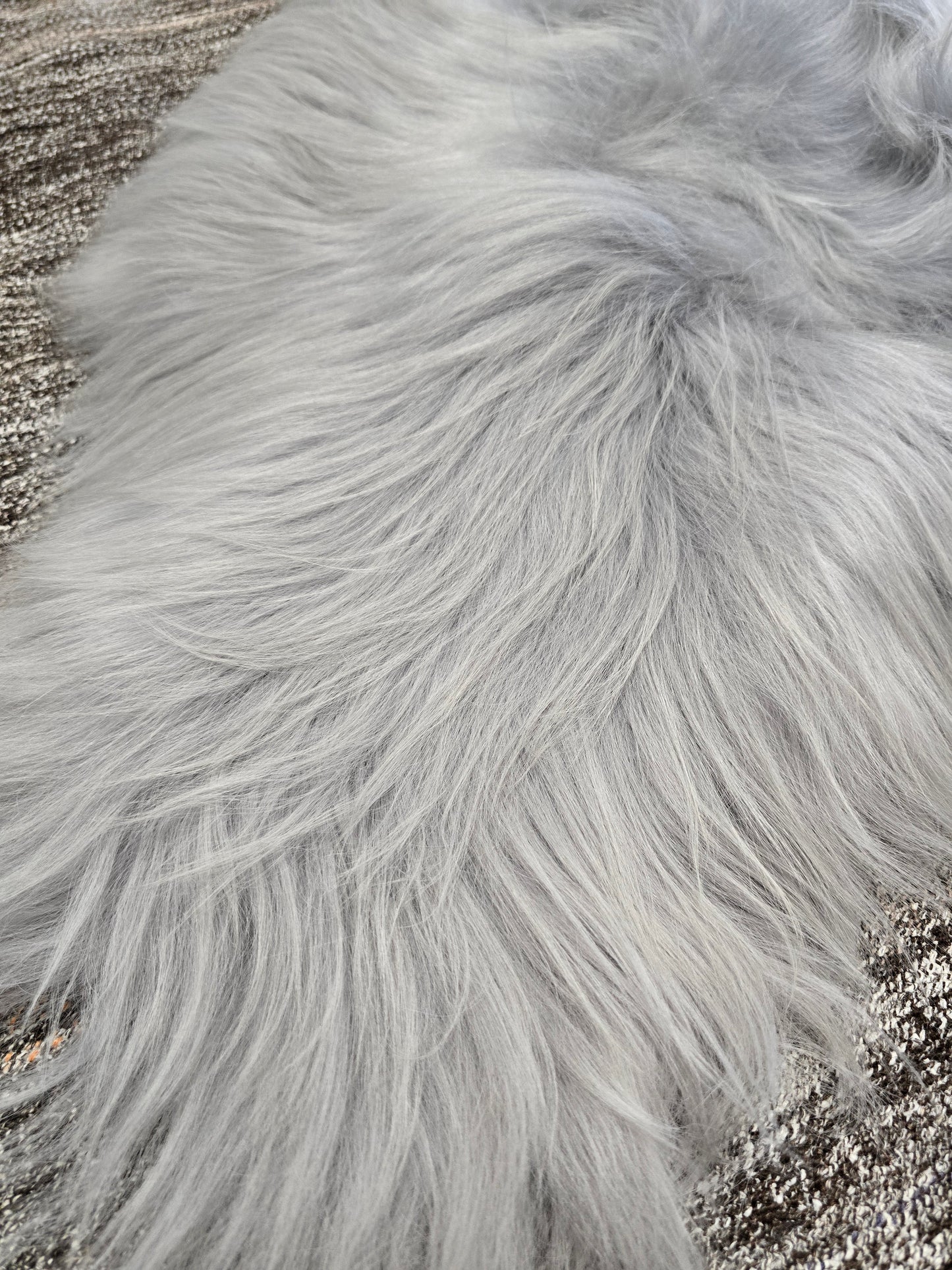 ONE OF THE KIND Icelandic Light Blue Grey Sheepskin