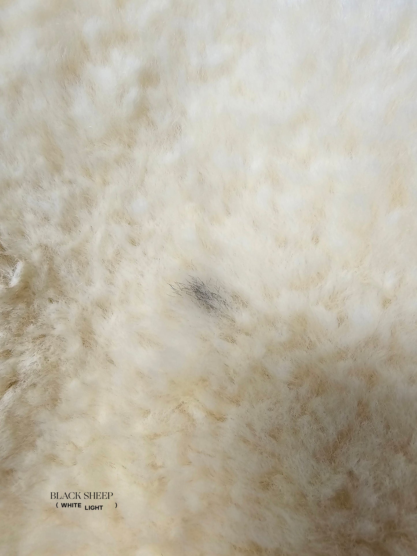 ONE OF THE KIND Extra Large Icelandic Shorn Cream White Sheepskin - Black Sheep (White Light)