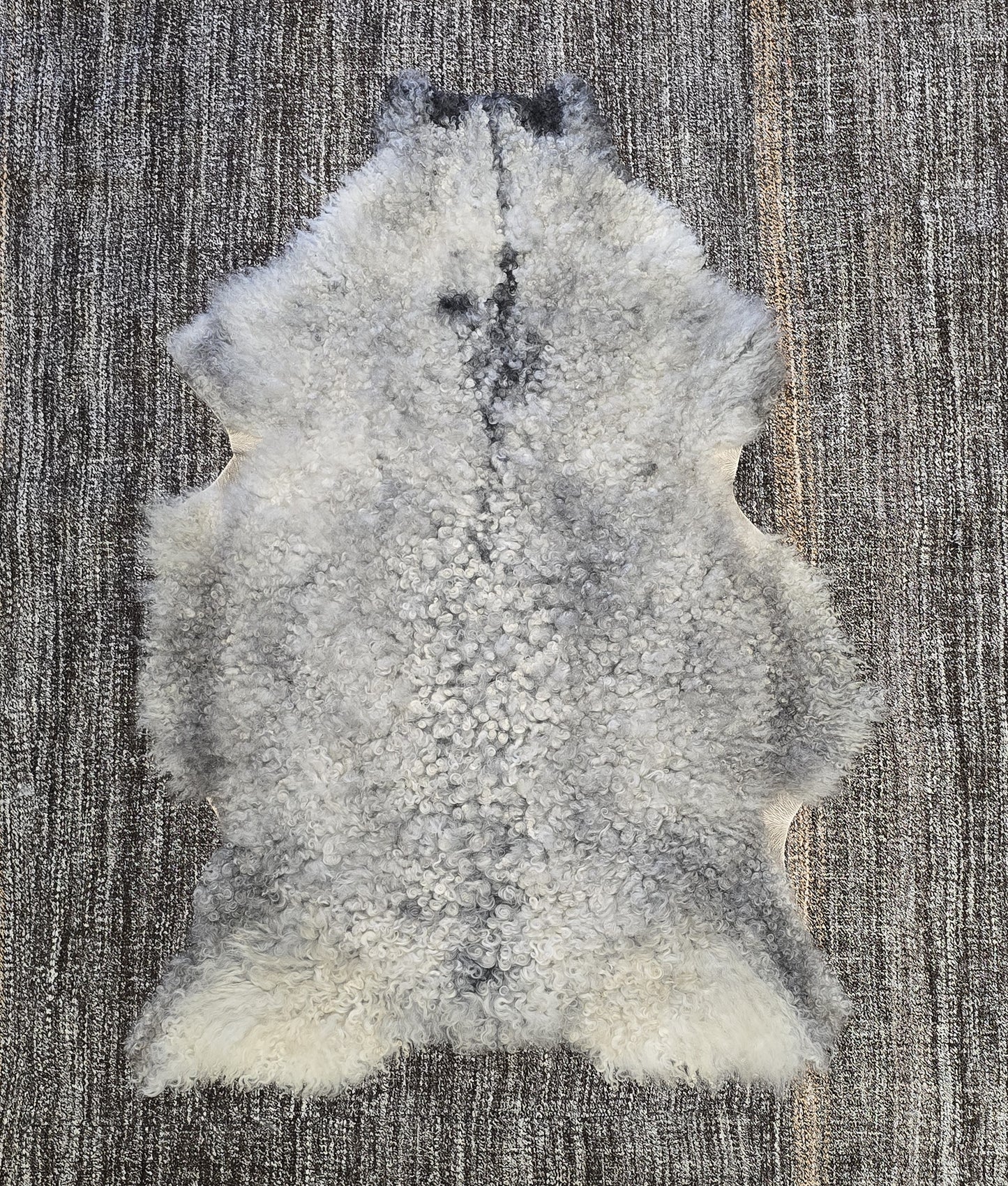 ONE OF THE KIND Gotland White and Grey Medium Wool Sheepskin - Black Sheep (White Light)