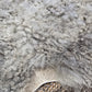 ONE OF THE KIND Gotland White and Grey Medium Wool Sheepskin - Black Sheep (White Light)