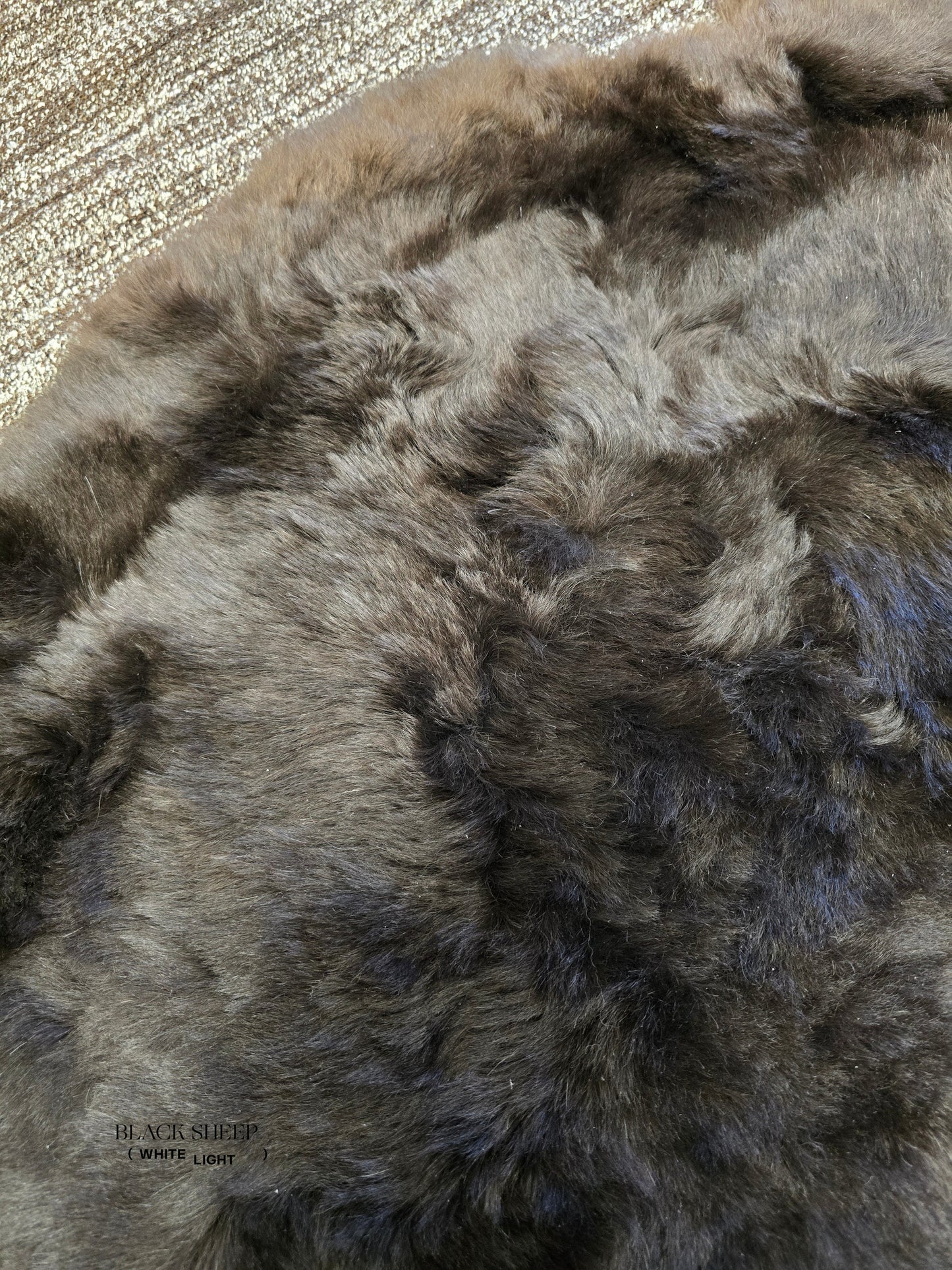 ONE OF THE KIND Icelandic Shorn Silky Soft Brown Sheepskin - Black Sheep (White Light)