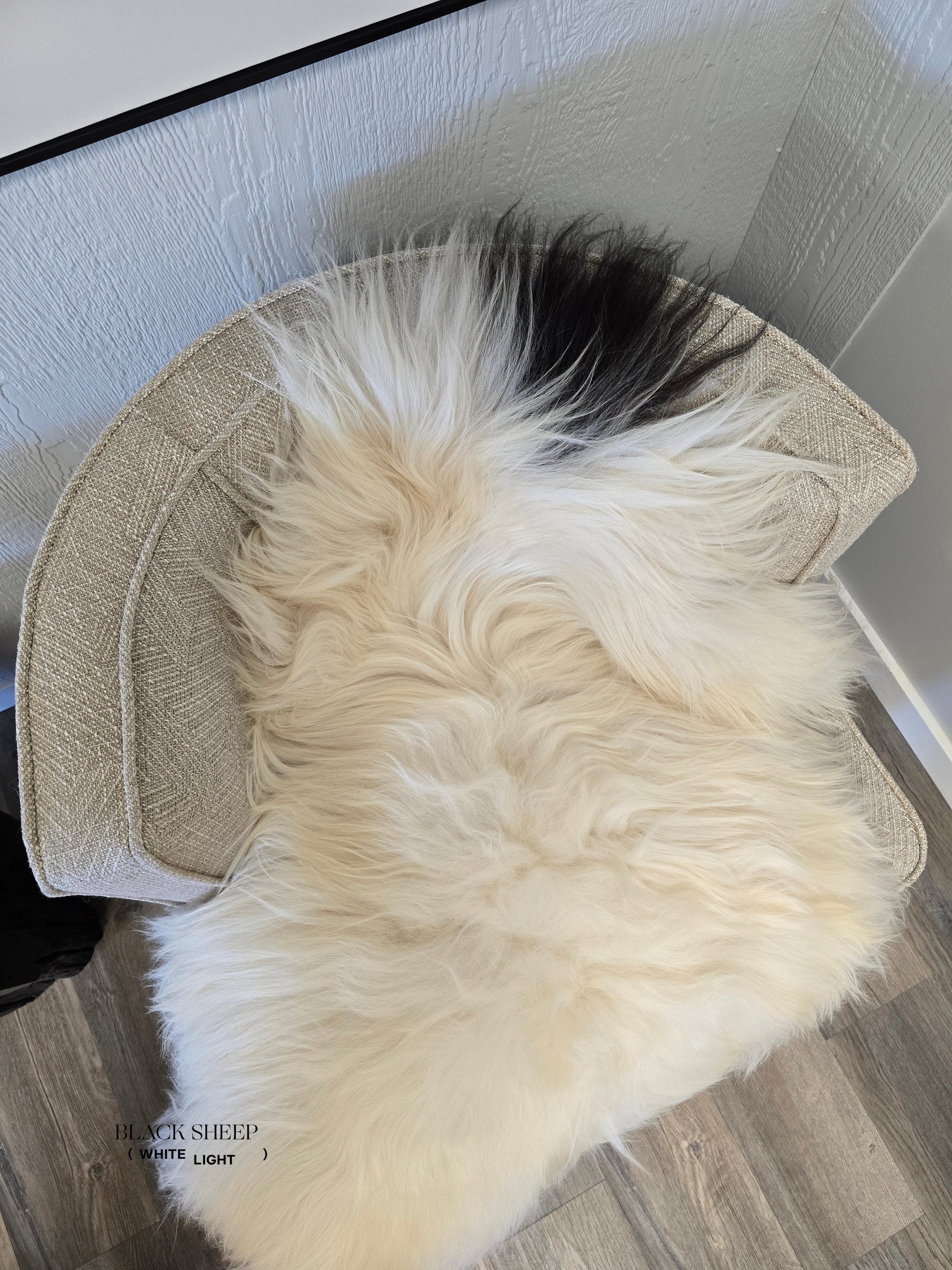 ONE OF THE KIND Icelandic White Sheepskin with Small Black Spot - Black Sheep (White Light)