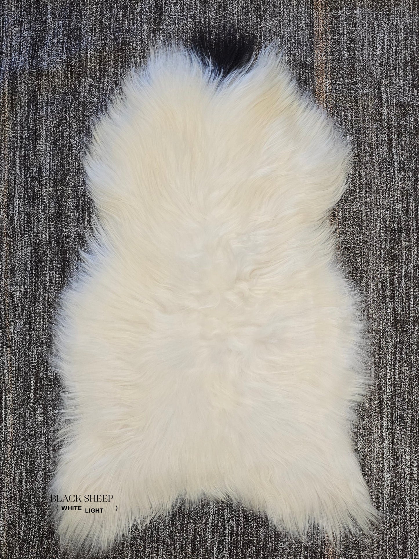 ONE OF THE KIND Icelandic White Sheepskin with Small Black Spot - Black Sheep (White Light)