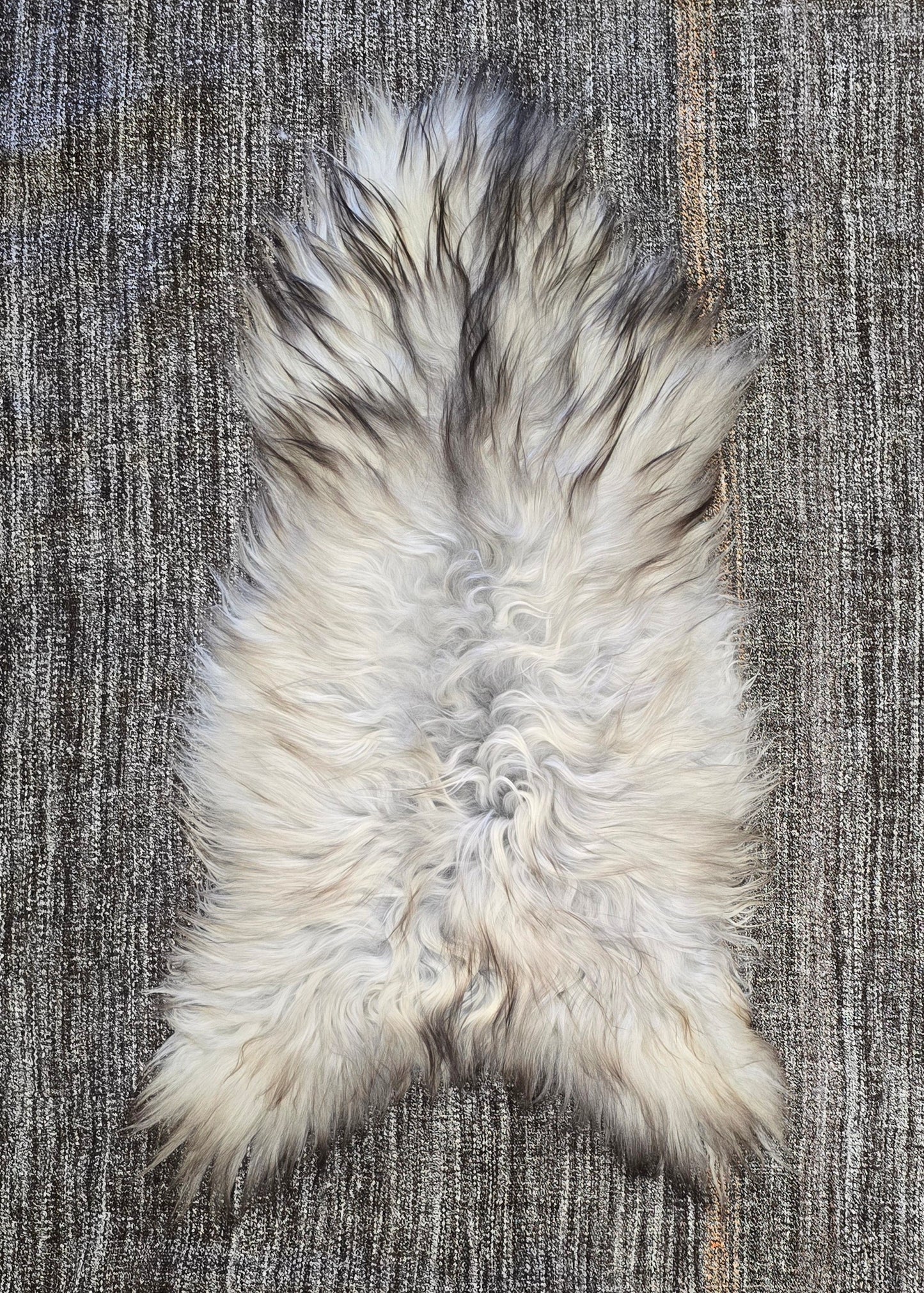 ONE OF THE KIND Small Long wool Icelandic Sheepskin in Light Natural Grey. - Black Sheep (White Light)