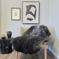 ONE OF THE KIND Large Gotland Charcoal Long Wool Sheepskin