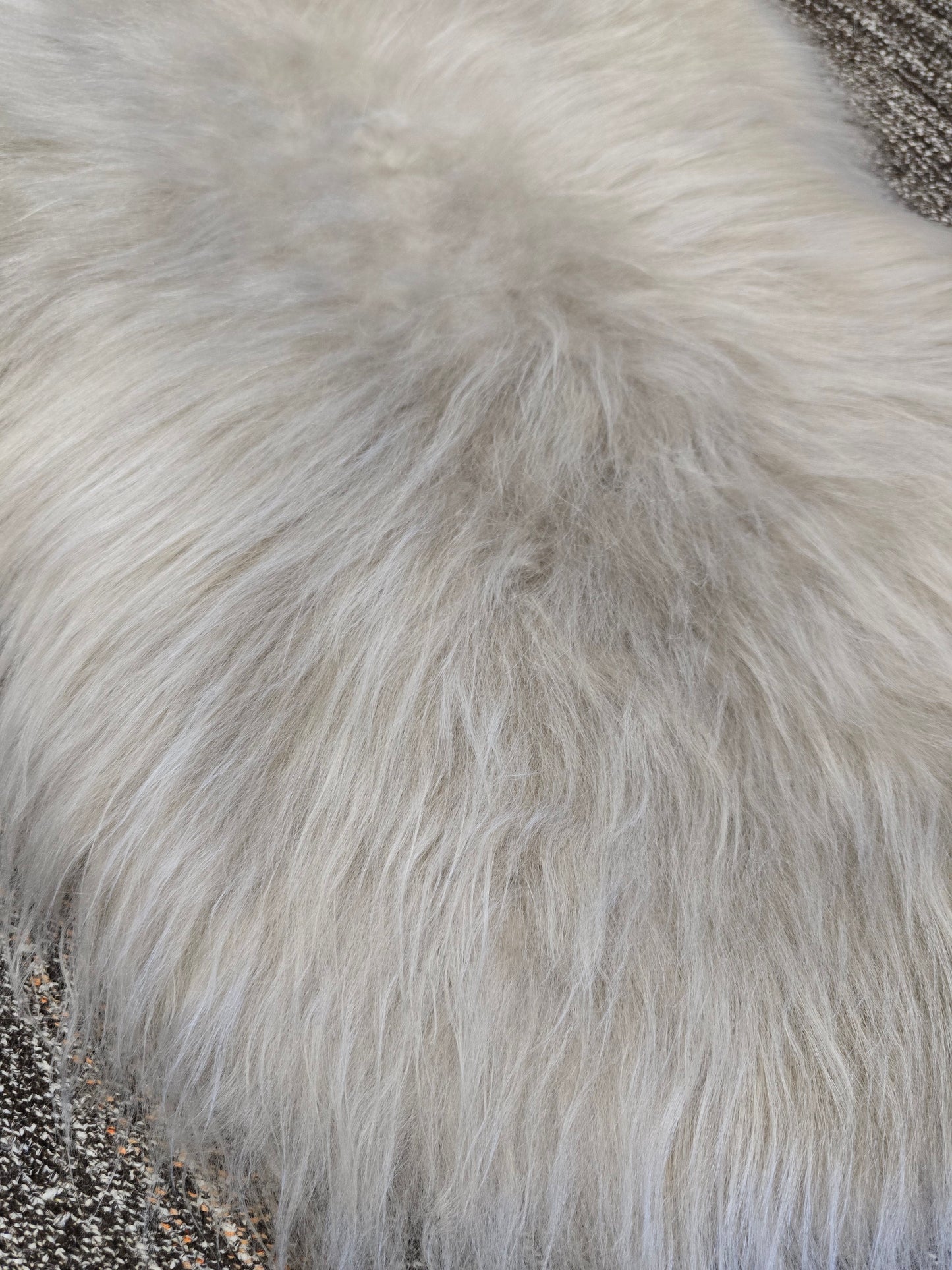 ONE OF THE KIND Long Wool Icelandic Linen Sheepskin