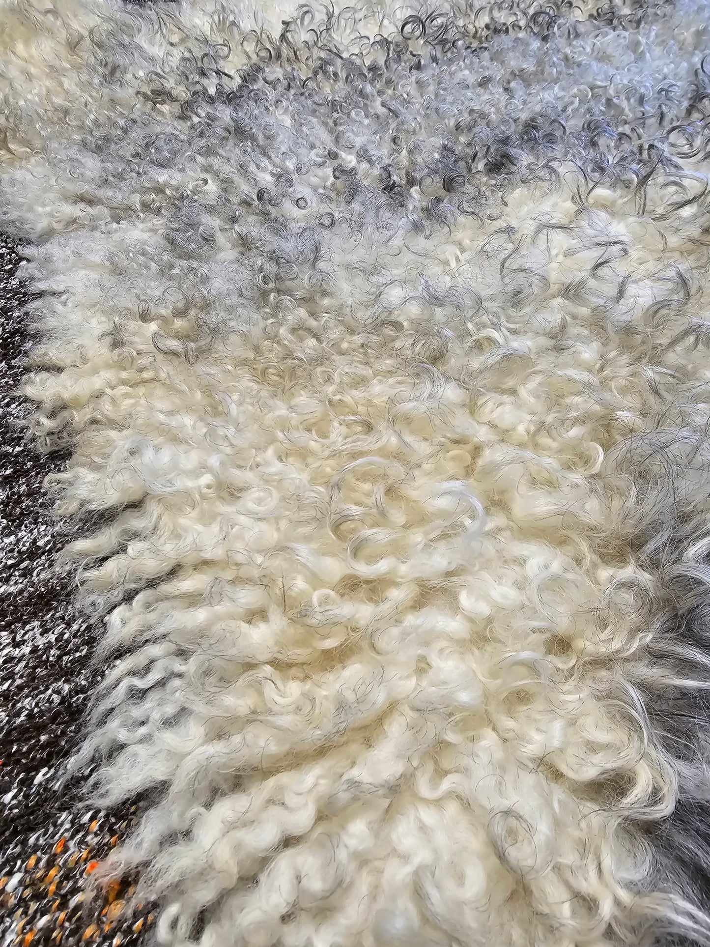 ONE OF THE KIND Gotland White and Grey Medium Wool Sheepskin