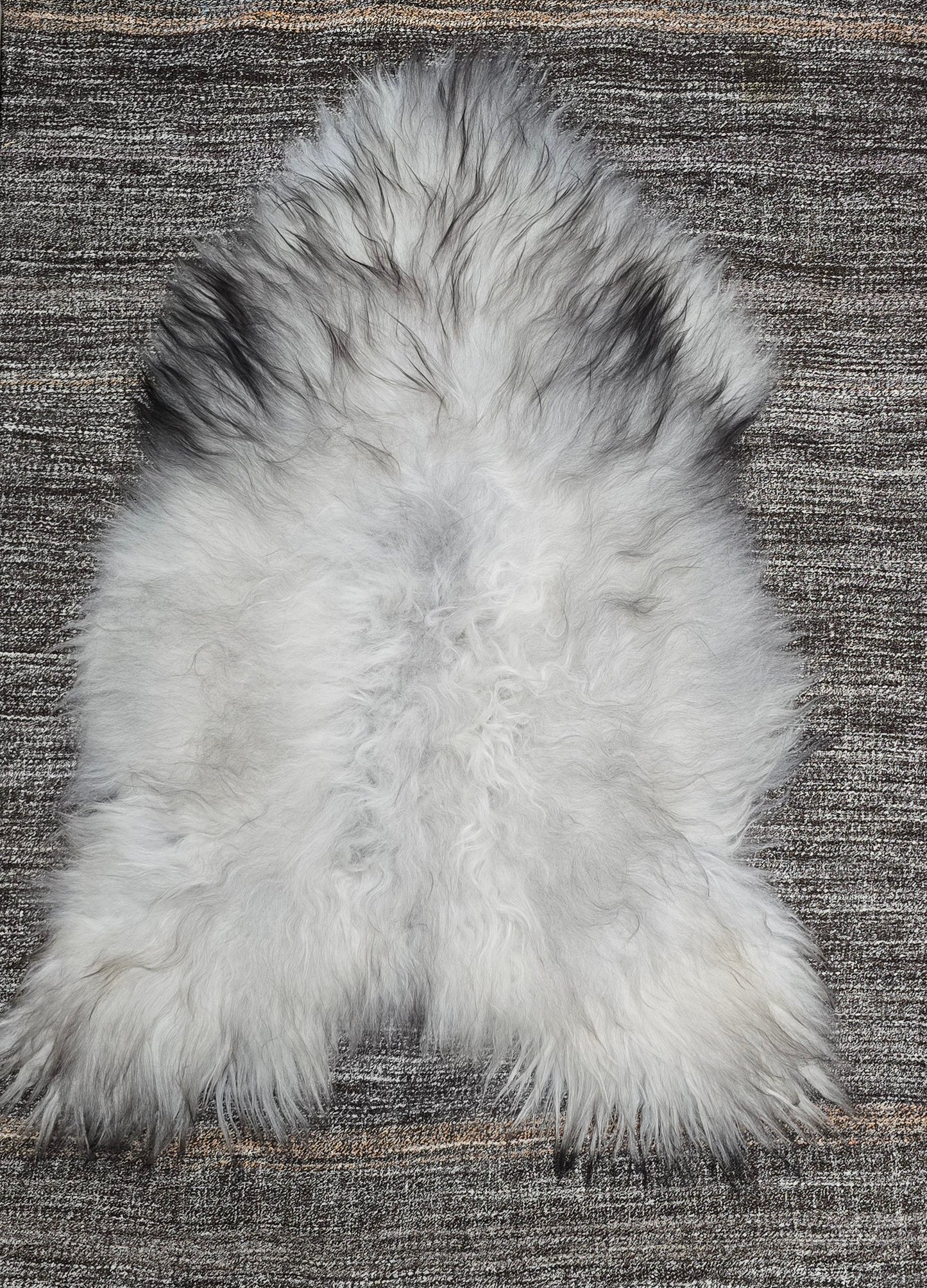 ONE OF A KIND Light Natural Grey Icelandic Sheepskin