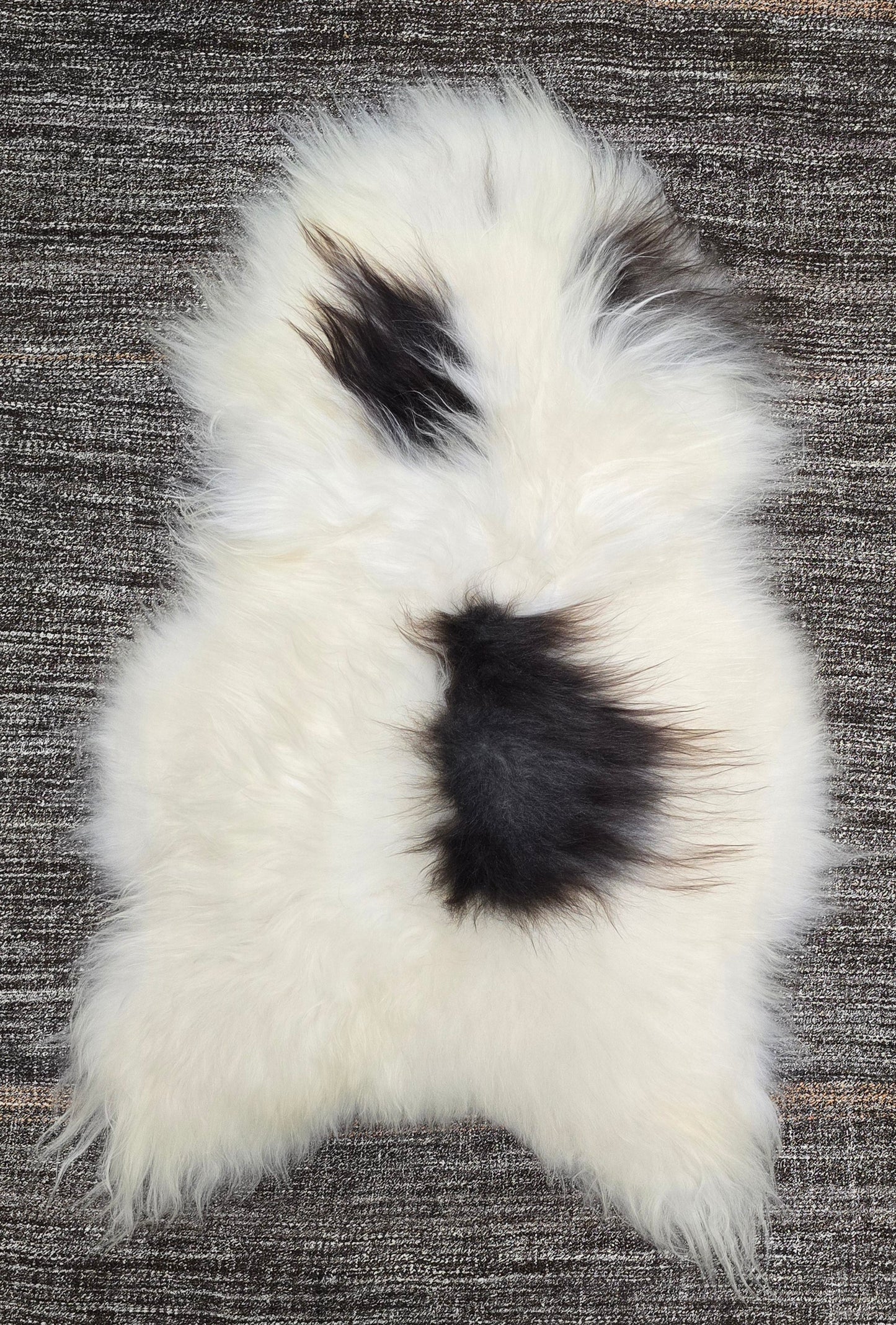 ONE OF A KIND Icelandic White with Dark Spots Sheepskin