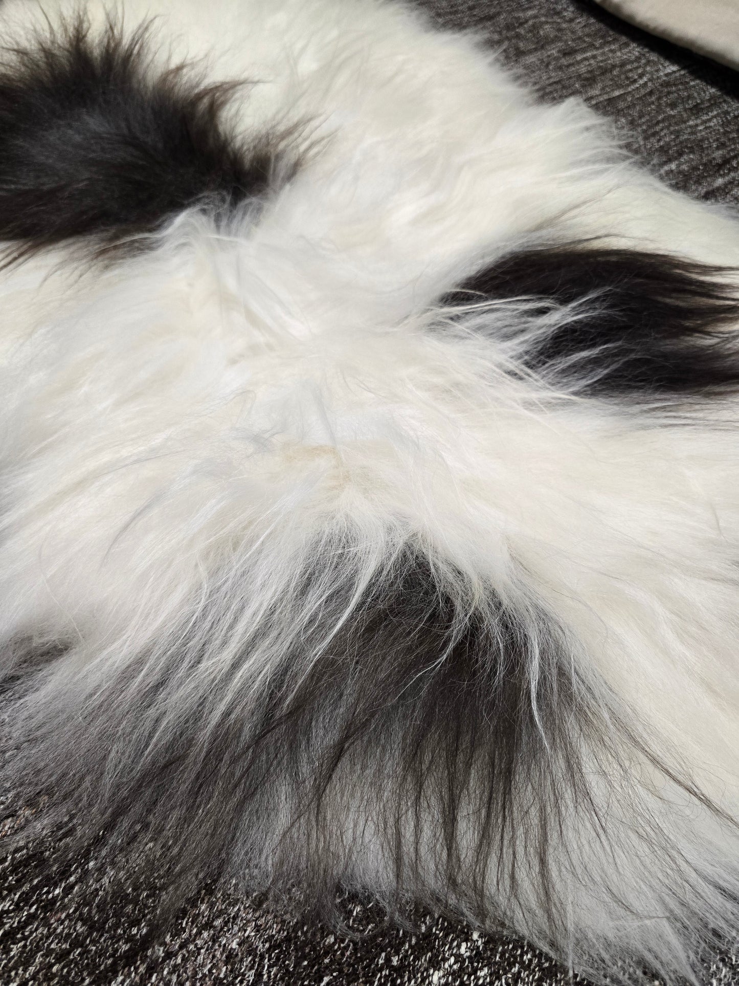 ONE OF A KIND Icelandic White with Dark Spots Sheepskin