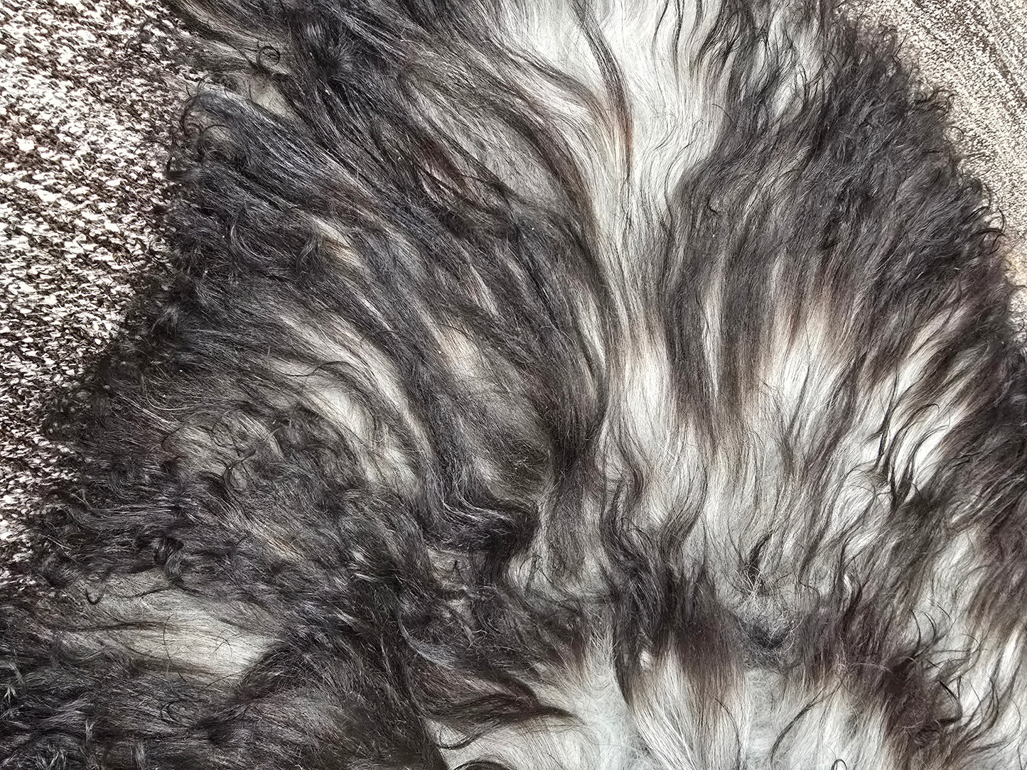 ONE OF A KIND Icelandic Dark Grey Sheepskin