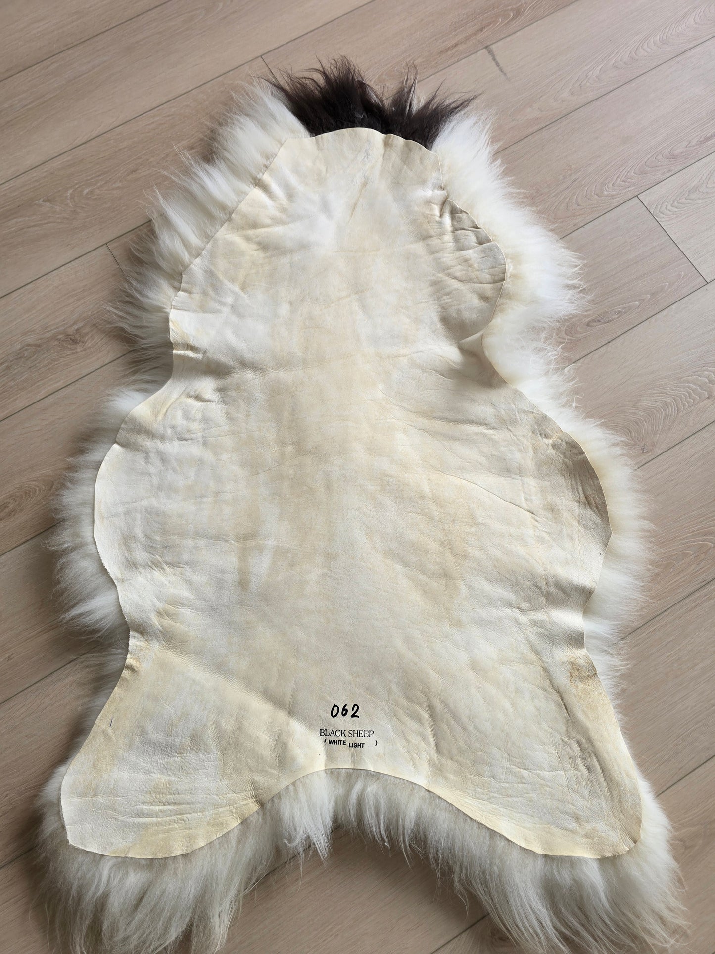ONE OF A KIND White Long Wool Icelandic Sheepskin with Black Spots