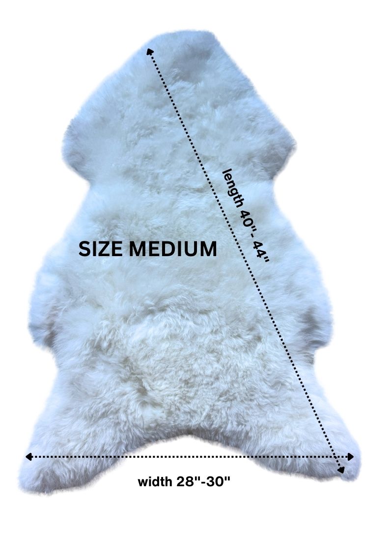 Peau de mouton islandaise blanche tondue