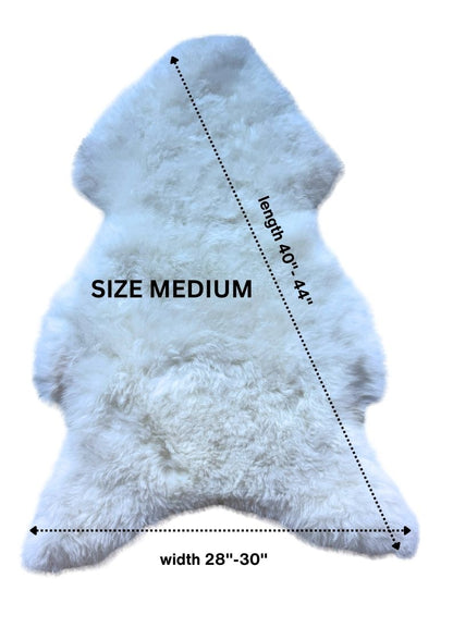 Peau de mouton islandaise blanche tondue