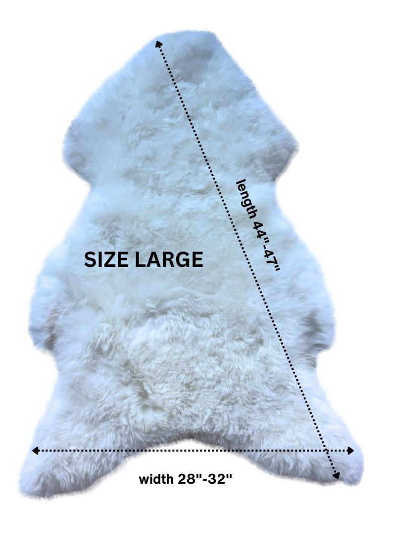 Peau de mouton islandaise blanche tondue