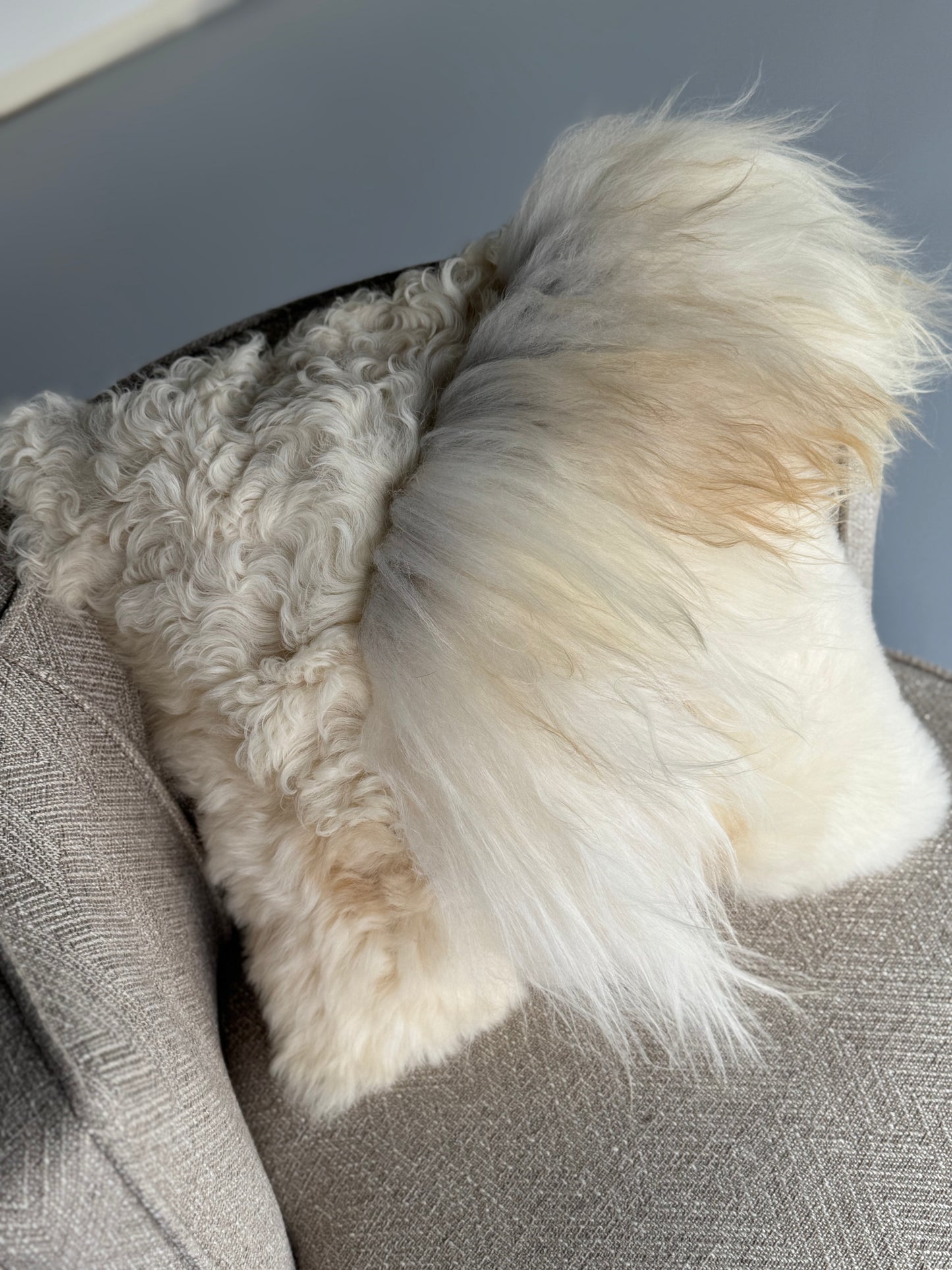 Mélange Sheepskin Pillow, straight wool