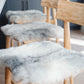 Shorn Grey Icelandic Sheepskin Chair Pad - Black Sheep (White Light)