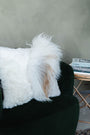 Mélange Sheepskin Pillow, straight wool
