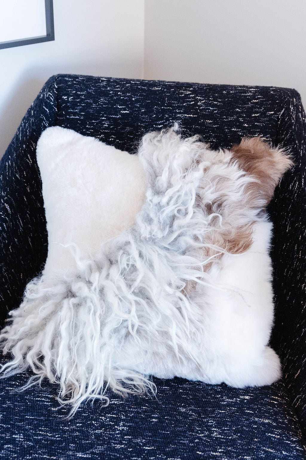 Mélange Sheepskin Pillow, curly wool