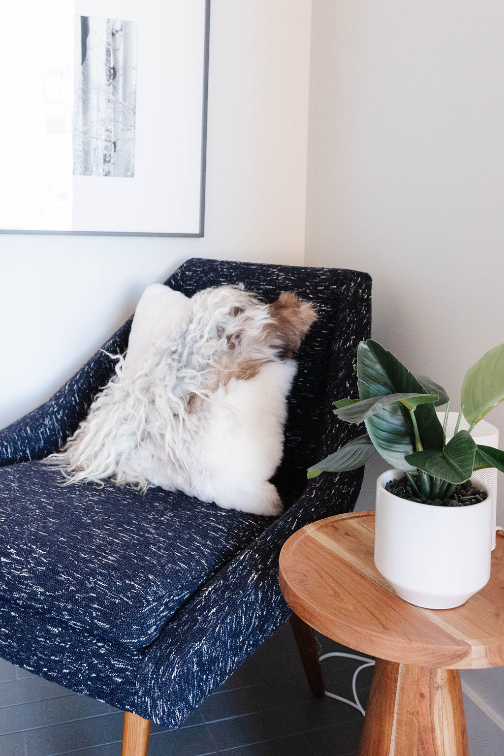 Mélange Sheepskin Pillow, curly wool - Black Sheep (White Light)