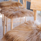 Camel Icelandic Sheepskin Chair Pad