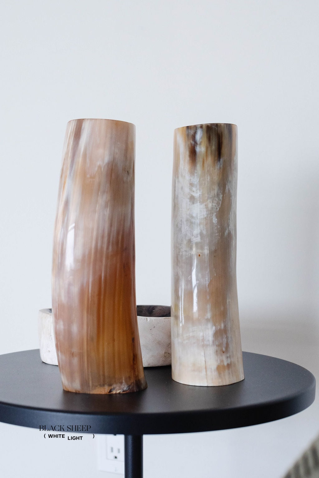 Ankole &amp; Gyr Horn Light Vase - Black Sheep (White Light)