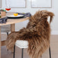 Light Brown Icelandic Sheepskin - Black Sheep (White Light)