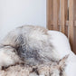 Natural Curly Grey Icelandic Sheepskin