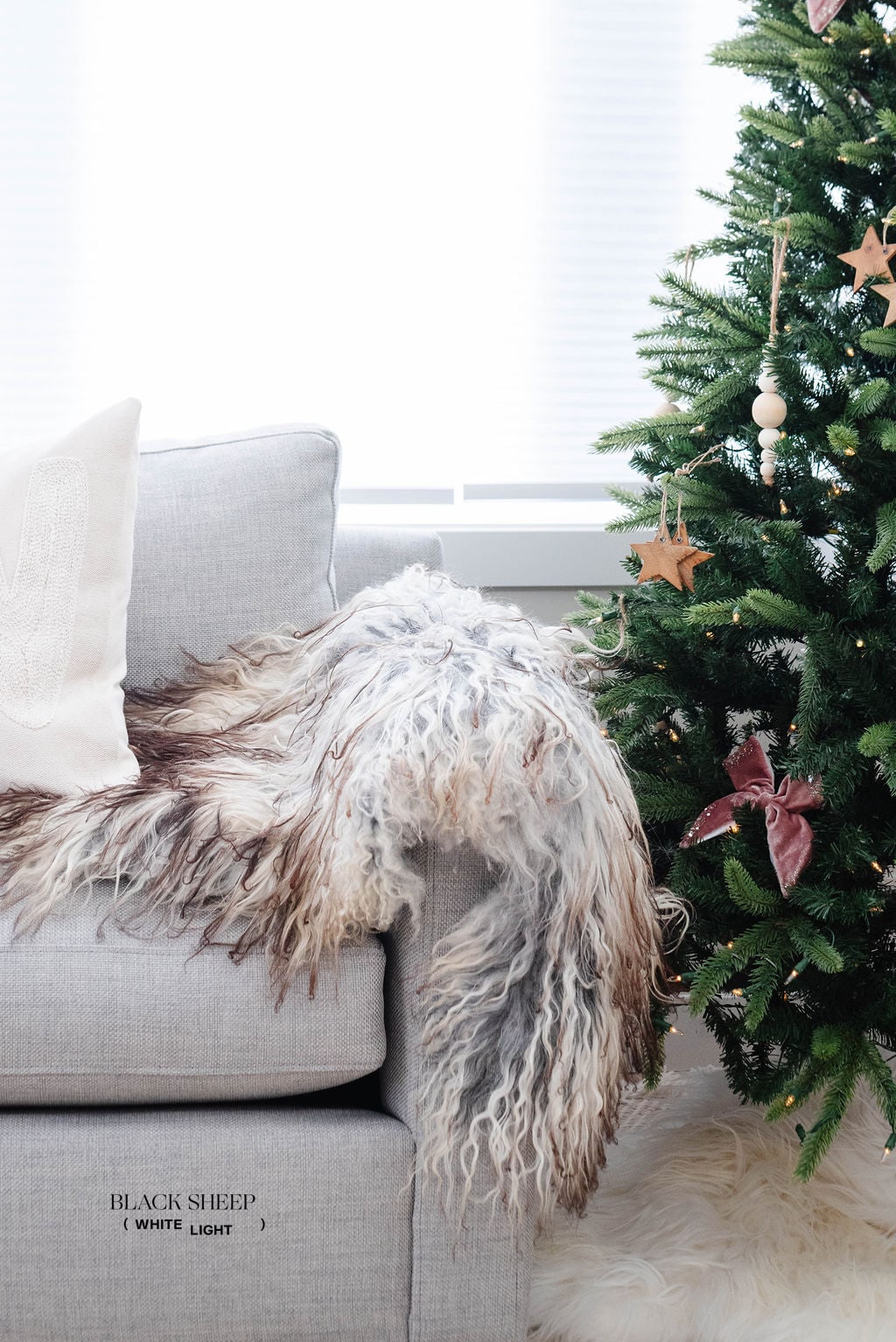 Natural Curly Grey Icelandic Sheepskin - Black Sheep (White Light)