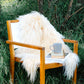 White Icelandic Curly Sheepskin - Black Sheep (White Light)