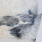 Shorn Spotted Icelandic Sheepskin | Random