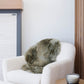 Olive Green Swedish Sheepskin