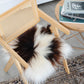 Brown Spotted Icelandic Sheepskin Chair Pad | Random