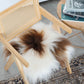 Brown Spotted Icelandic Sheepskin Chair Pad | Random