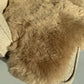 Shorn Nude Icelandic Sheepskin