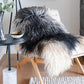 Natural Curly Grey Icelandic Sheepskin - Black Sheep (White Light)