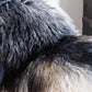 Natural Curly Grey Icelandic Sheepskin