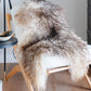 Natural Curly Grey Icelandic Sheepskin