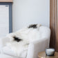 Spotted Icelandic Sheepskin | Minimal