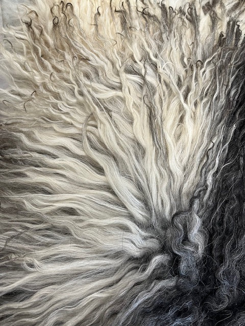 Natural Curly Grey Icelandic Sheepskin