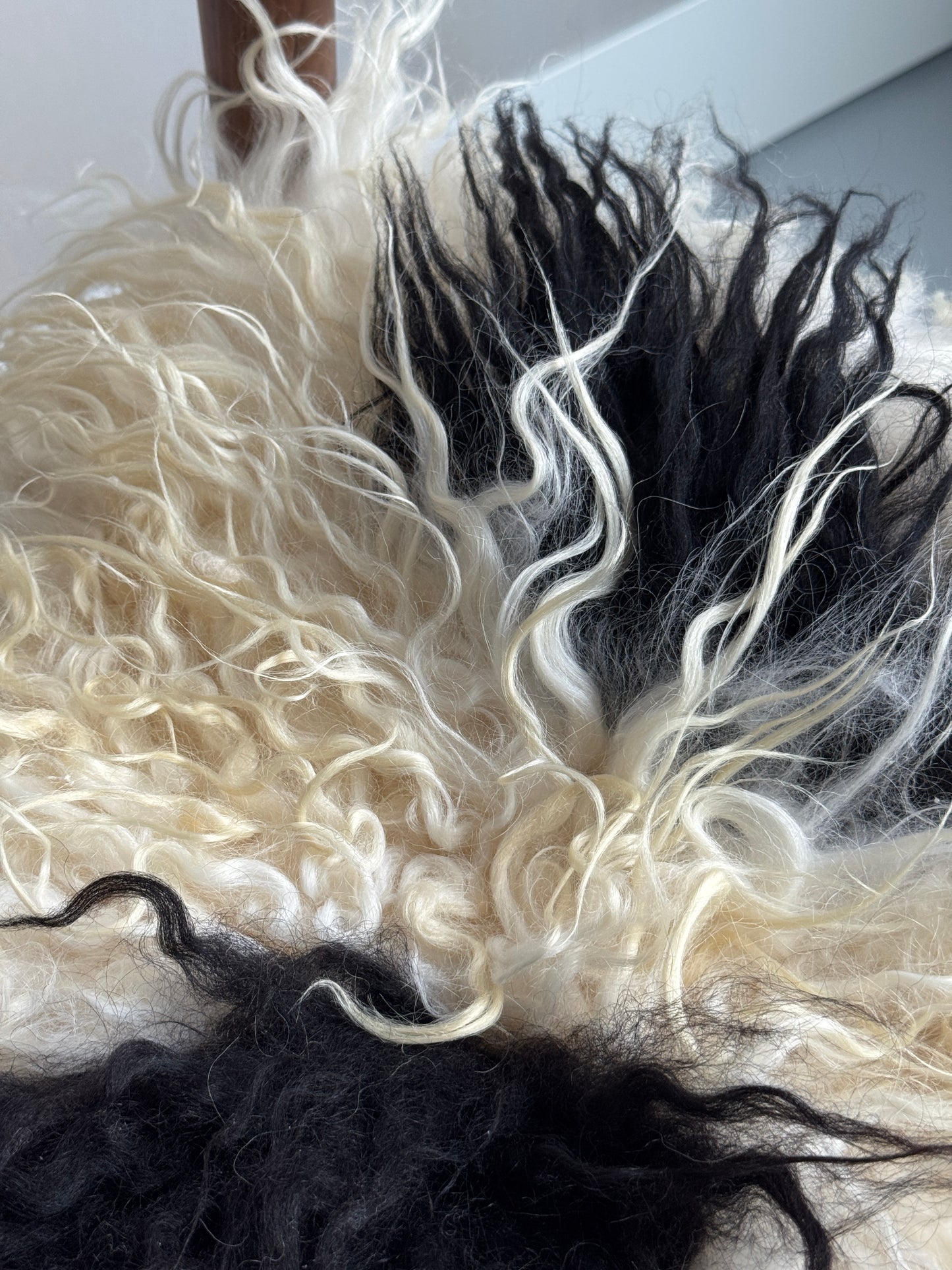 White and Black Spotted Curly Icelandic Sheepskin Chair Pad