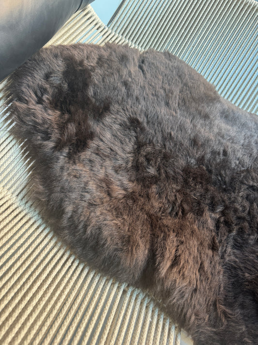 ONE OF A KIND Shorn Rich Chocolate wool Icelandic Sheepskin